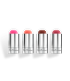 4 eclipse blush & lip stick set