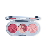 ballet rosé blush palette