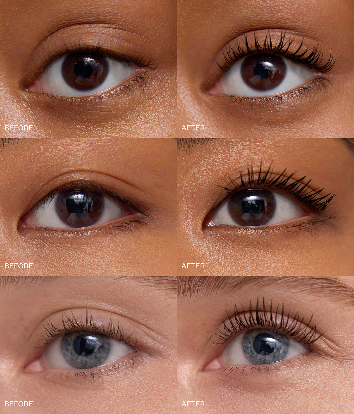 aris signature eye trio