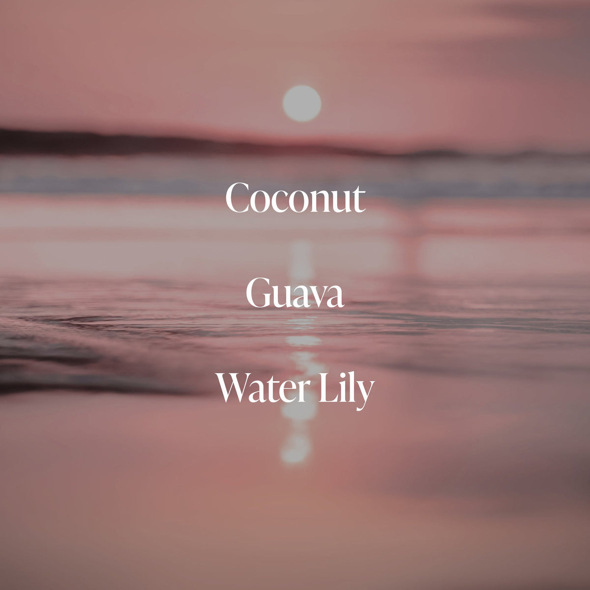 Coast is Calling Duo - Holiday Kit