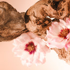 Santal Bloom - In Shower Hair Bundle