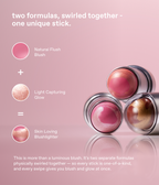 all 6 new mélange à trois blush & highlight sticks