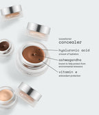 concealer