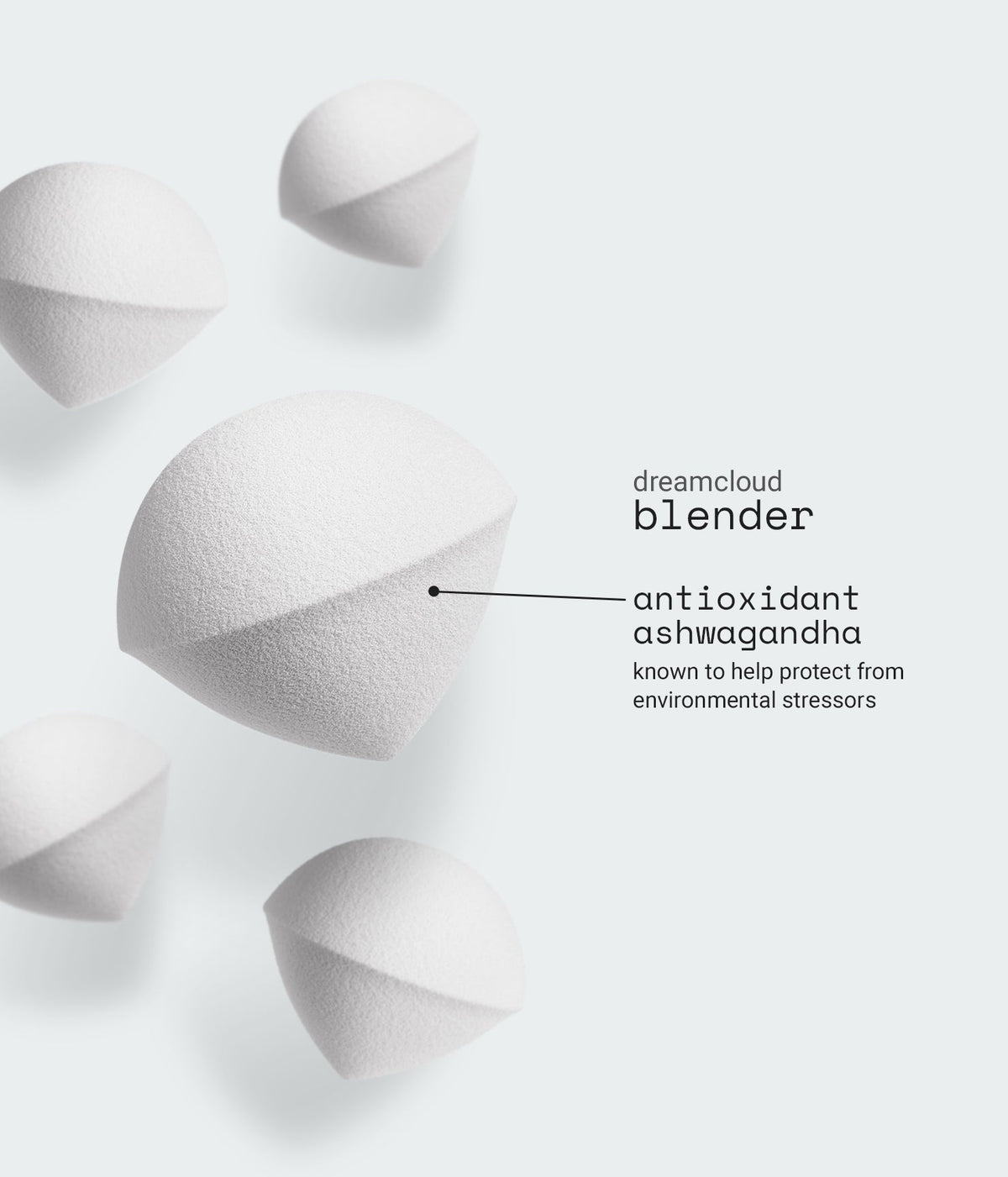 blender sponge